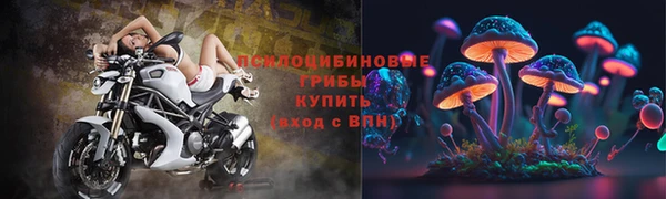 МДПВ Навашино