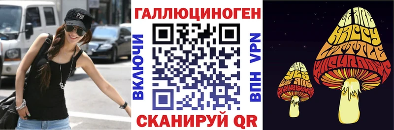 Галлюциногенные грибы Psilocybine cubensis  Лысьва 