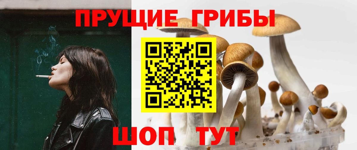 Лысьва  Галлюциногенные грибы мухоморы  Галлюциногенные грибы мицелий  Вход с VPN 